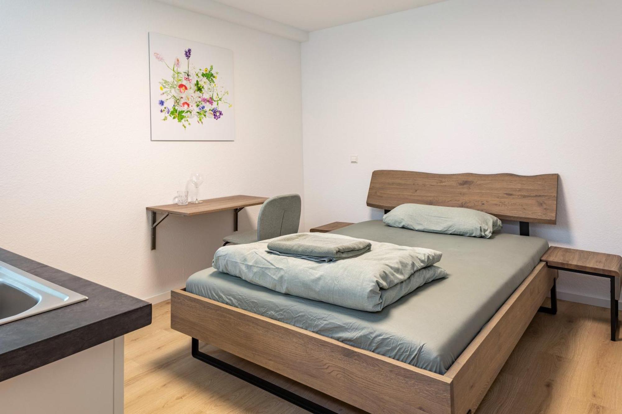 Mcello Apartments Bad Krozingen Ngoại thất bức ảnh